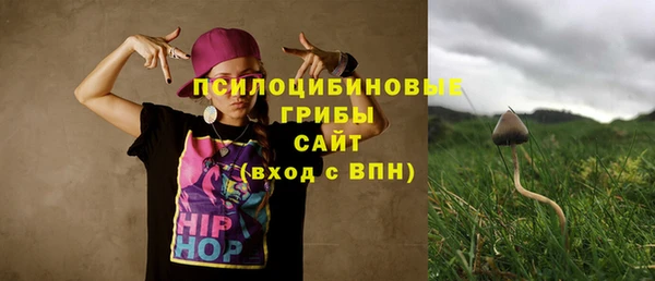 а пвп мука Куйбышев