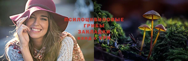 а пвп мука Куйбышев