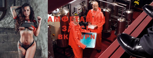 сатива Кукмор