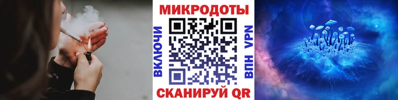 Купить  Тутаев  Псилоцибиновые грибы Magic Shrooms 